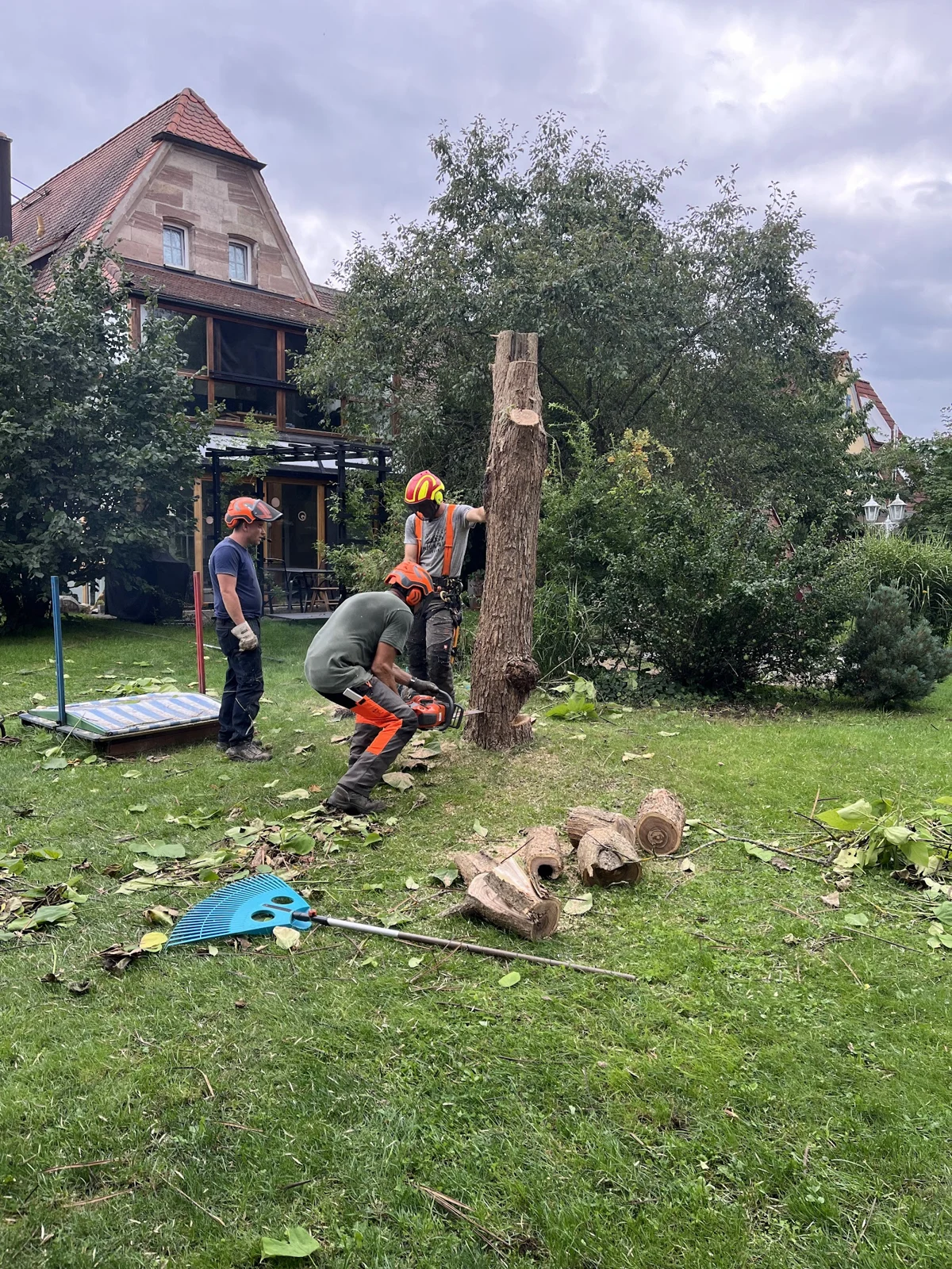 Drei Personen bei Arbeiten an einem gekürzten Baumstamm im Garten