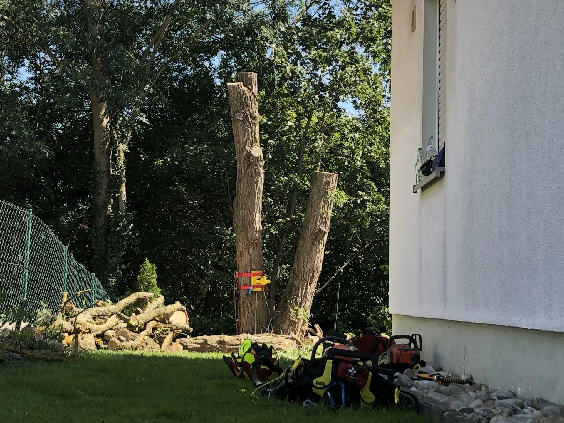 Gekürzte Stämme, Schnittgut und Motorsägen neben einem Wohnhaus